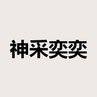 神采奕奕是什么意思