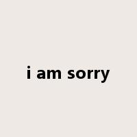 i am sorry是什么意思