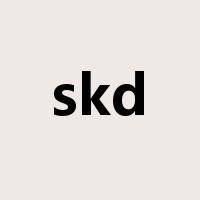 skd是什么意思