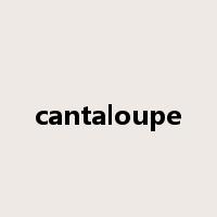 cantaloupe是什么意思