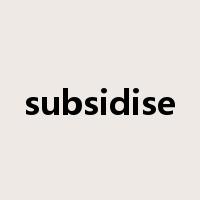subsidise是什么意思