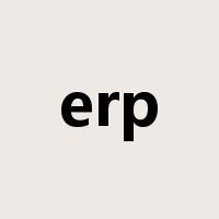 erp是什么意思