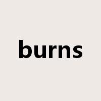 burns是什么意思