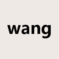 wang是什么意思