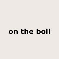 on the boil是什么意思