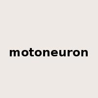 motoneuron是什么意思