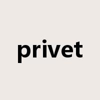 privet是什么意思