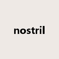 nostril是什么意思