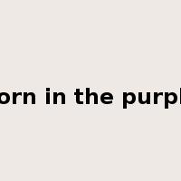 born in the purple是什么意思