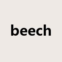 beech是什么意思