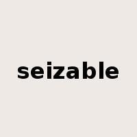 seizable是什么意思