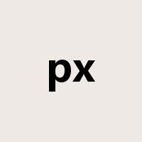 px是什么意思