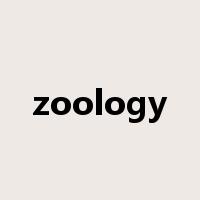 zoology是什么意思