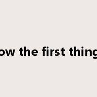 not know the first thing about是什么意思