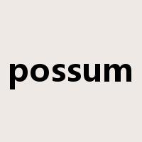 possum是什么意思
