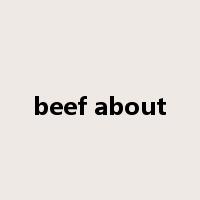 beef about是什么意思