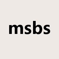 msbs是什么意思