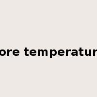 core temperature是什么意思
