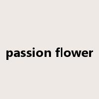 passion flower是什么意思