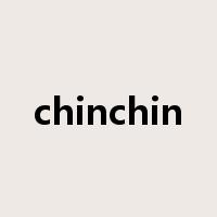 chinchin是什么意思