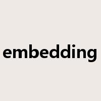 embedding是什么意思