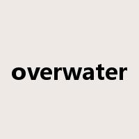 overwater是什么意思