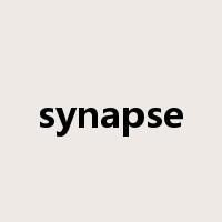 synapse是什么意思