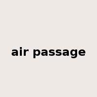 air passage是什么意思