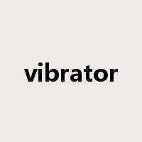 vibrator是什么意思