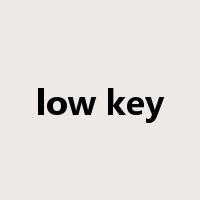 low key是什么意思