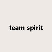 team spirit是什么意思
