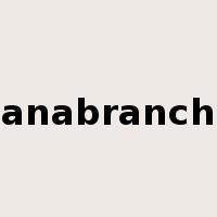 anabranch是什么意思