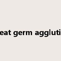 wheat germ agglutinin是什么意思