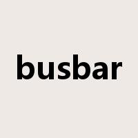 busbar是什么意思