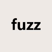 fuzz是什么意思