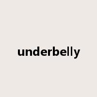underbelly是什么意思
