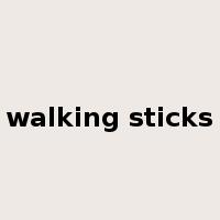 walking sticks是什么意思