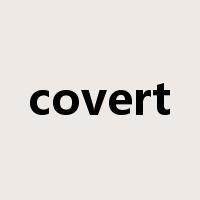 covert是什么意思