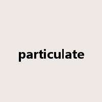 particulate是什么意思