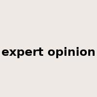expert opinion是什么意思