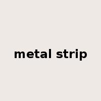 metal strip是什么意思