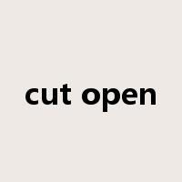 cut open是什么意思