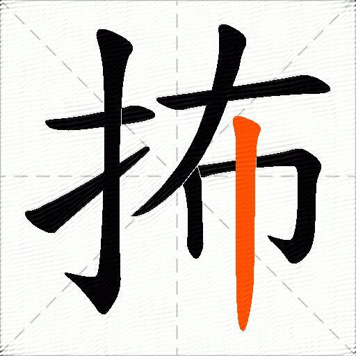 抪