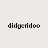 didgeridoo是什么意思