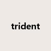 trident是什么意思