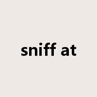 sniff at是什么意思