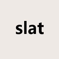 slat是什么意思
