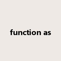 function as是什么意思