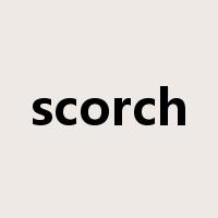 scorch是什么意思