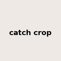 catch crop是什么意思